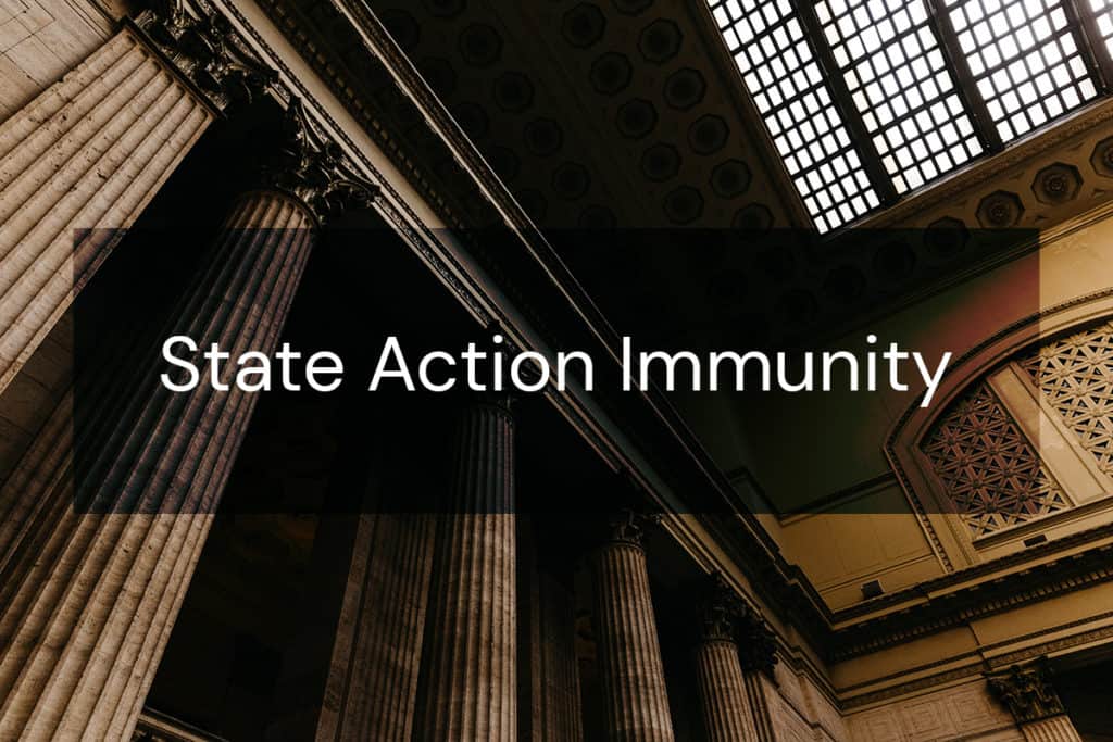 State Action Immunity