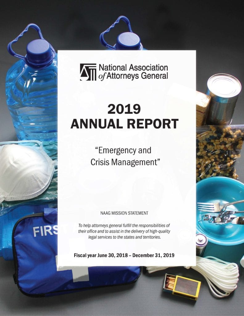 2019 annual report cover with disaster supplies