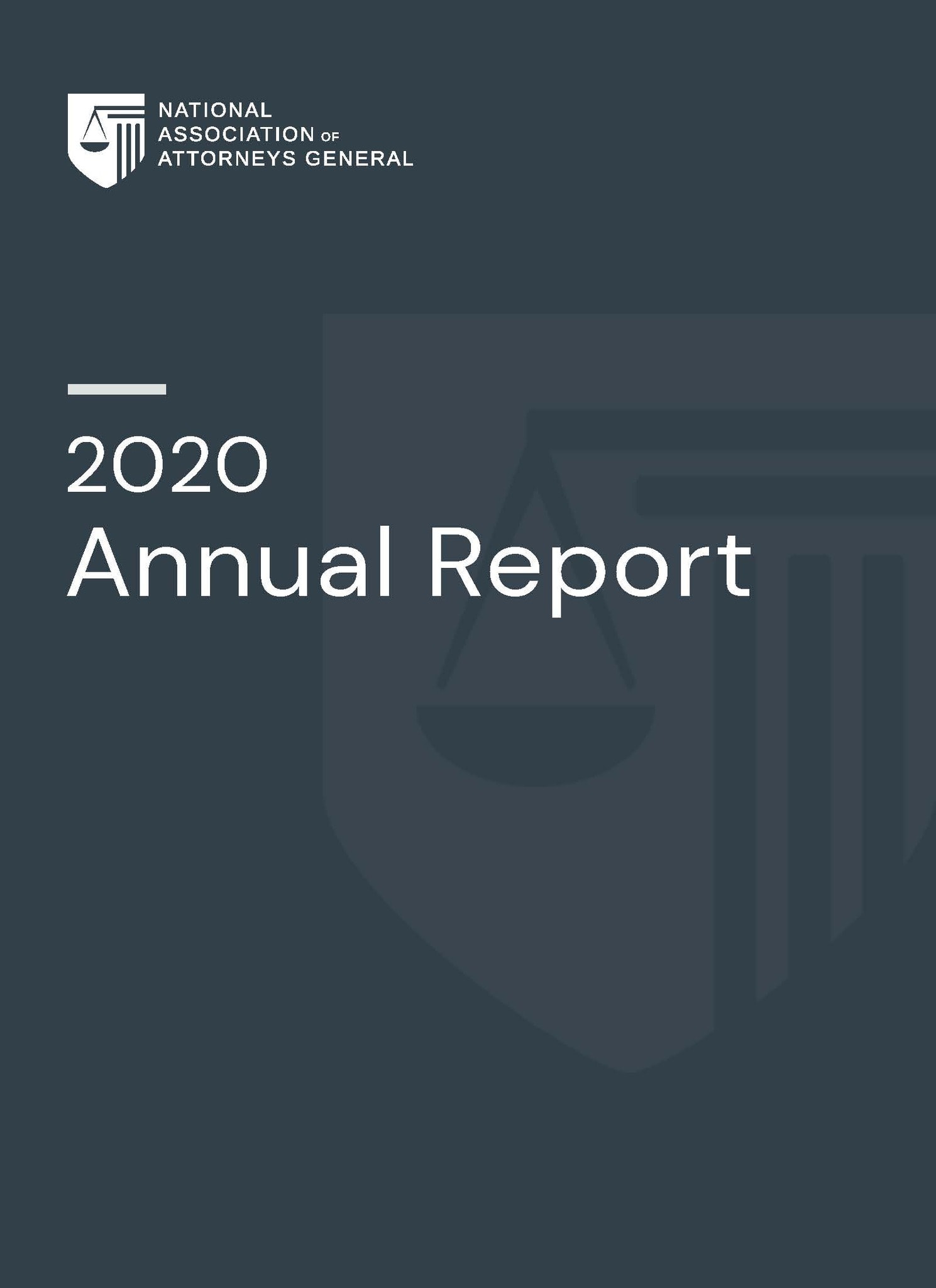 cover page for the 2020 annual report