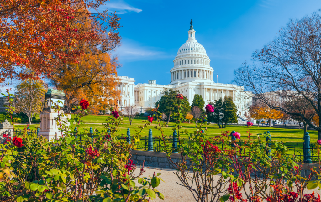 2026 Fall Consumer Protection Conference - National Association of ...